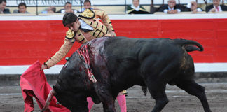 Perera muleteando a un serio 'Fuenteymbro' en Bilbao. (FOTO:Juan Carlos Terroso/Burladero.com)